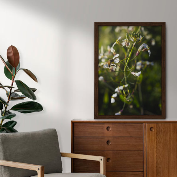 Quadro "A Sutileza da Natureza"