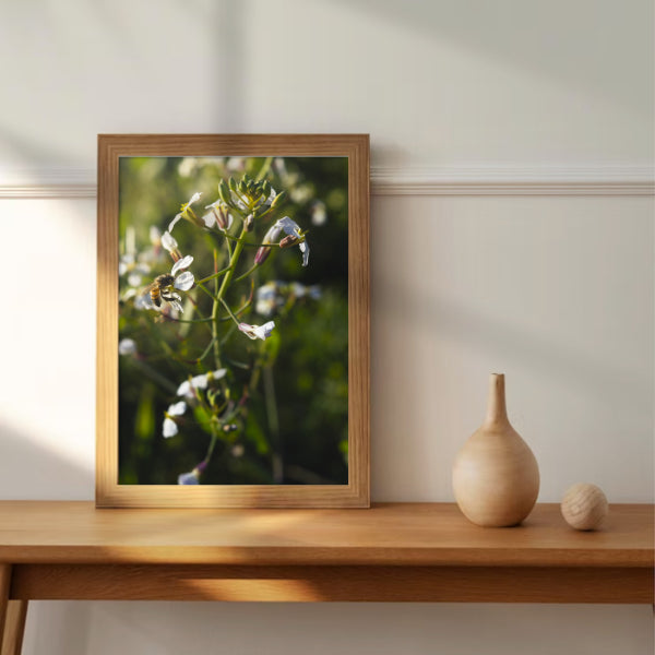 Quadro "A Sutileza da Natureza"