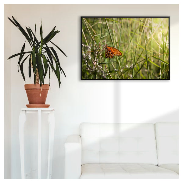Quadro "Borboleta"