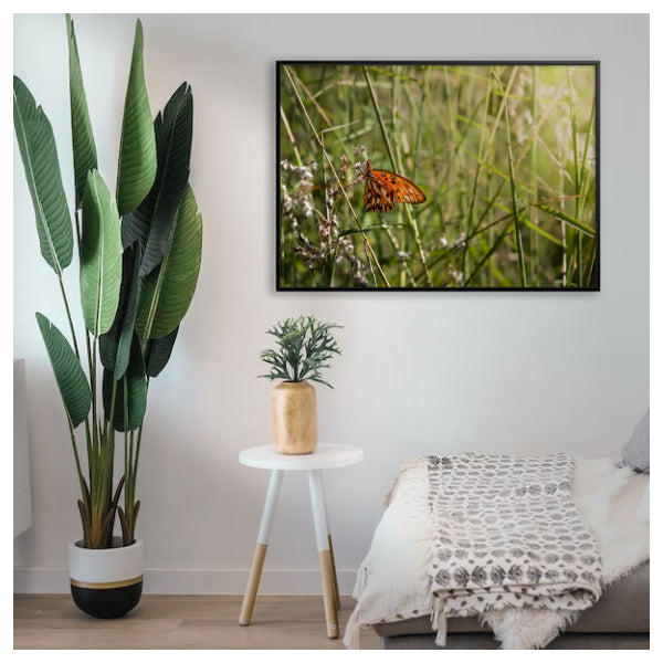 Quadro "Borboleta"