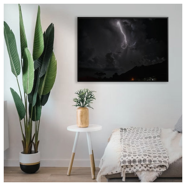 Quadro "Luz na Sombra"