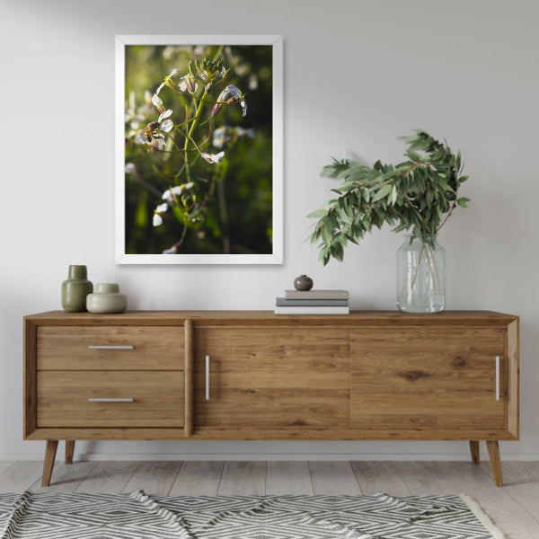 Quadro "A Sutileza da Natureza"